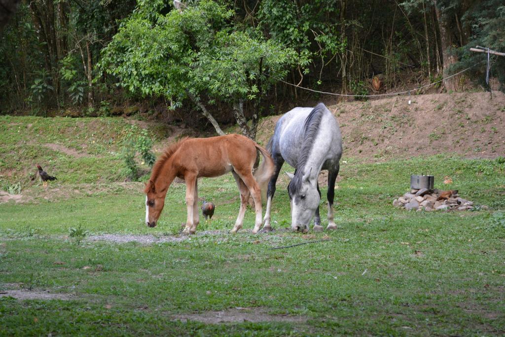 Finca La Colorada San Salvador de Jujuy Bagian luar foto
